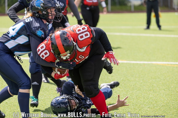 2024 06 16 WetterauBulls GameDay 013