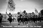 Bulls-Herren