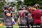 Bulls-Herren
