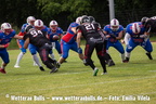 Bulls-Herren