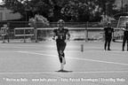 Bulls-Herren