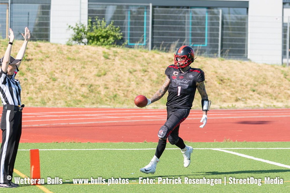 streetdog-87