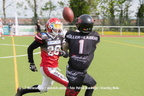 Bulls-Herren