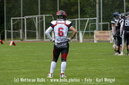 Bulls-Herren