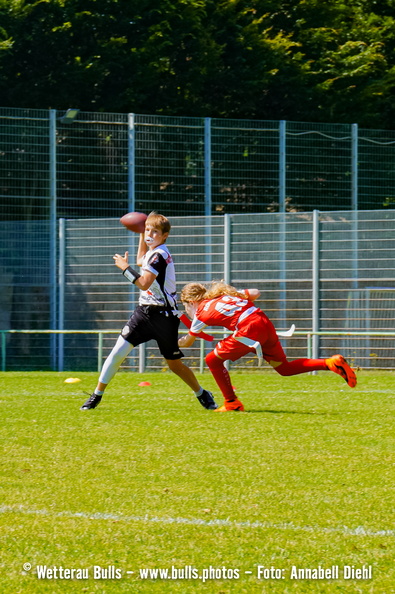 ALP06944.jpg